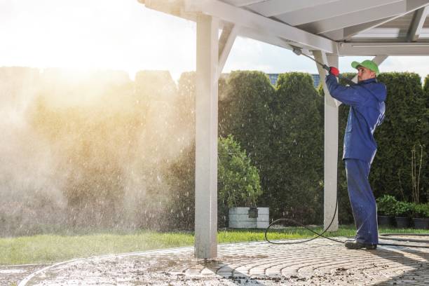 Best Sidewalk and Walkway Cleaning  in Norwood, OK